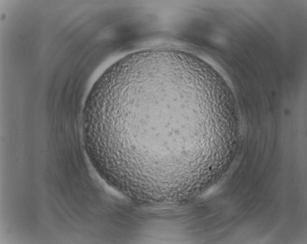 X0000067871486200604271723