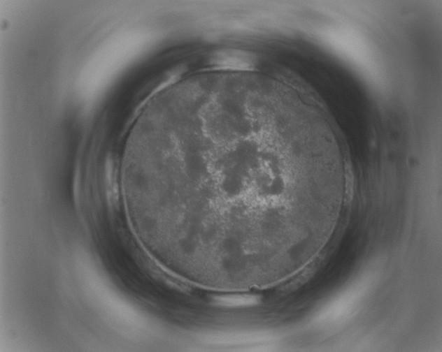 X0000067871487200604271723