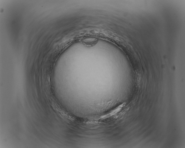 X0000067871489200604271722