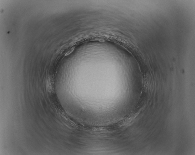 X0000067871490200604271722