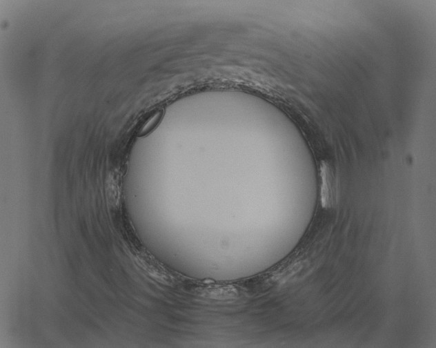 X0000067871491200604271722