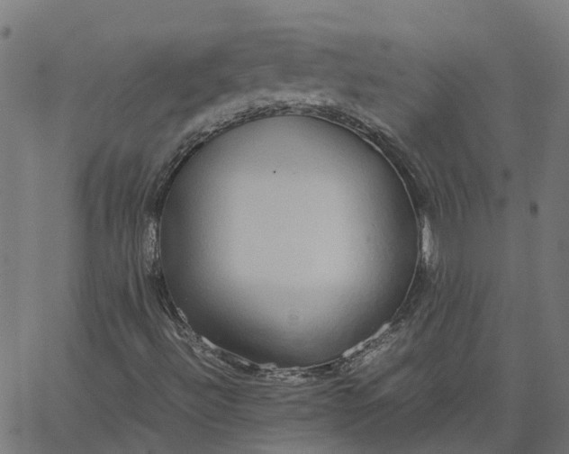 X0000067871492200604271722