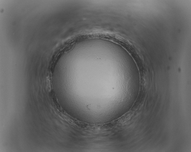 X0000067871493200604271722