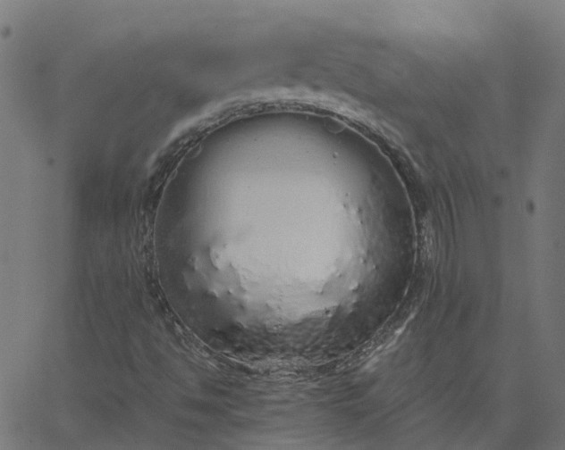 X0000067871494200604271722