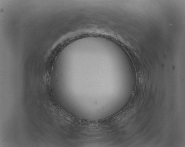 X0000067871495200604271722