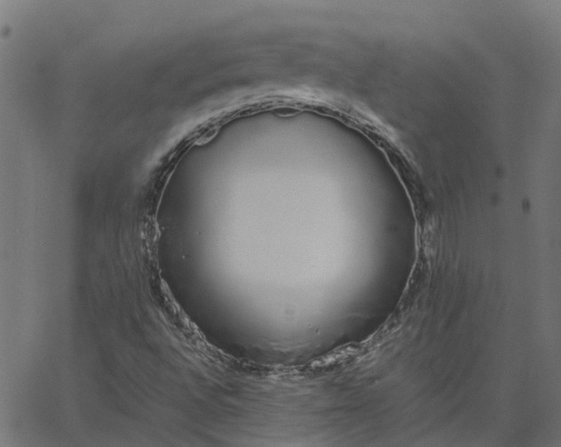 X0000067871496200604271722