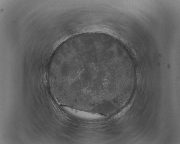 X0000067871497200604271722