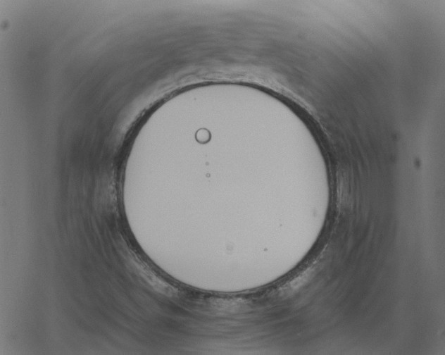 X0000067871498200604271722