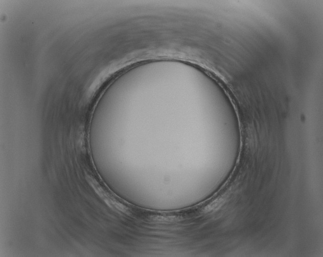 X0000067871499200604271722