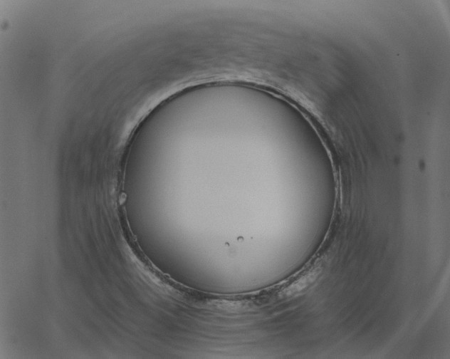 X0000067871500200604271722