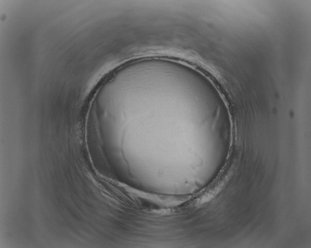 X0000067871501200604271722