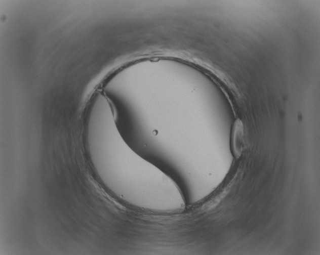 X0000067871502200604271722