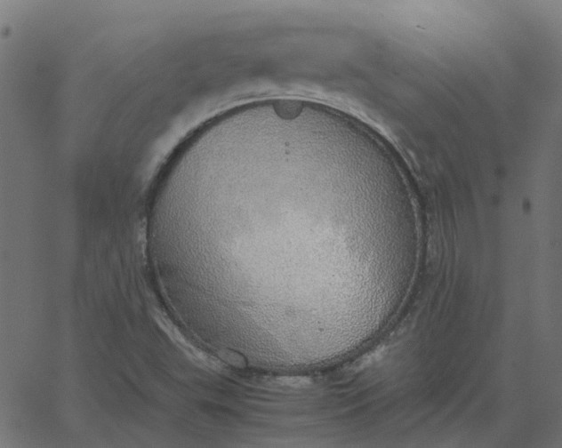 X0000067871503200604271722