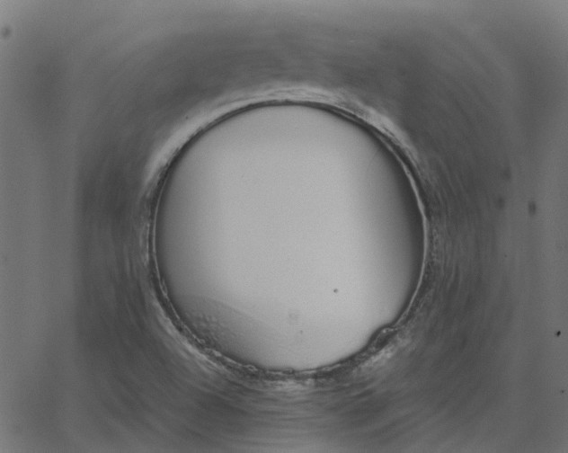 X0000067871504200604271722