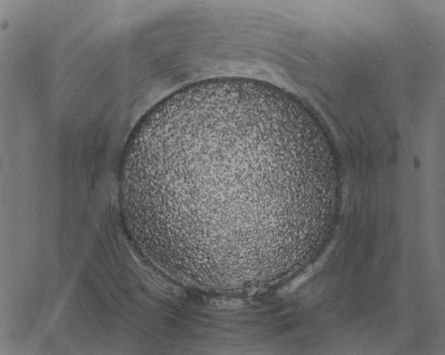 X0000067871505200604271722