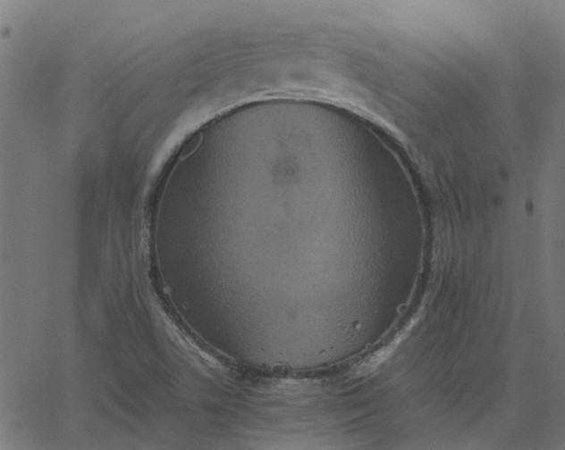 X0000067871506200604271722