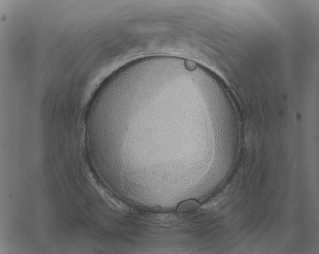 X0000067871507200604271722