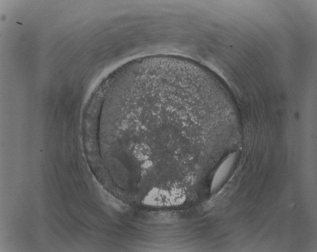 X0000067871508200604271722