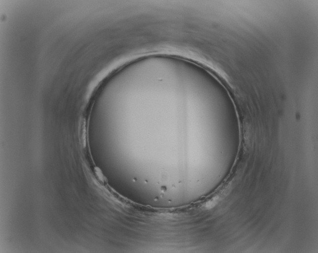 X0000067871510200604271722