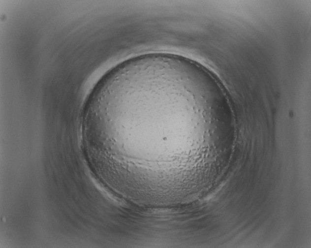 X0000067871511200604271722