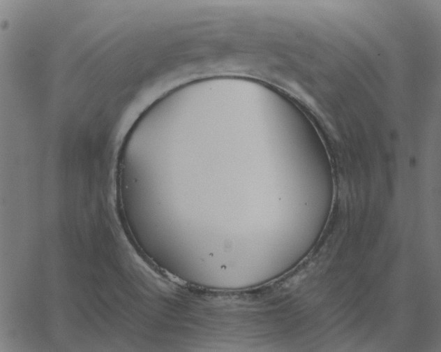 X0000067871512200604271722