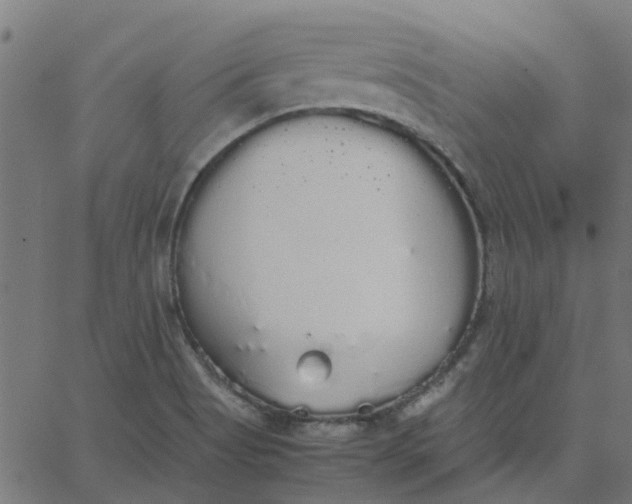 X0000067871513200604271722