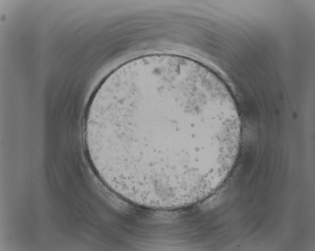 X0000067871514200604271722