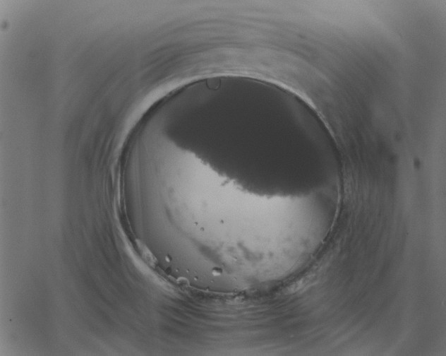 X0000067871515200604271722