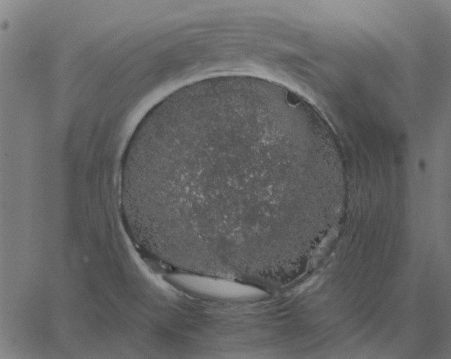 X0000067871519200604271723