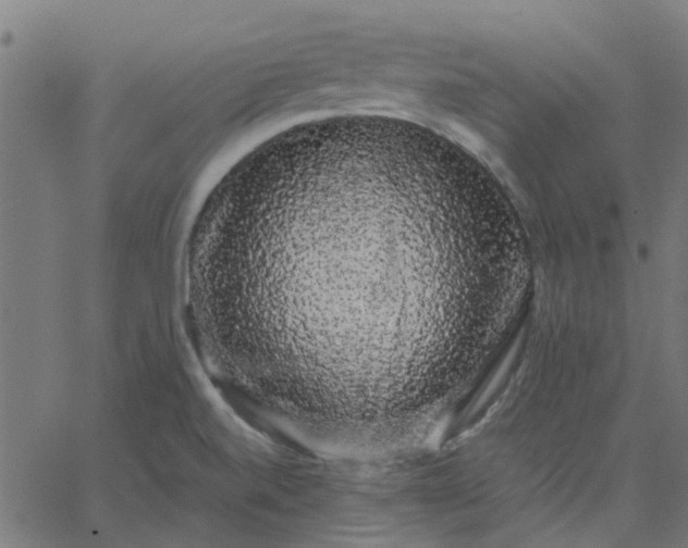 X0000067871520200604271723