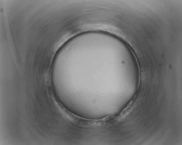 X0000067871521200604271723