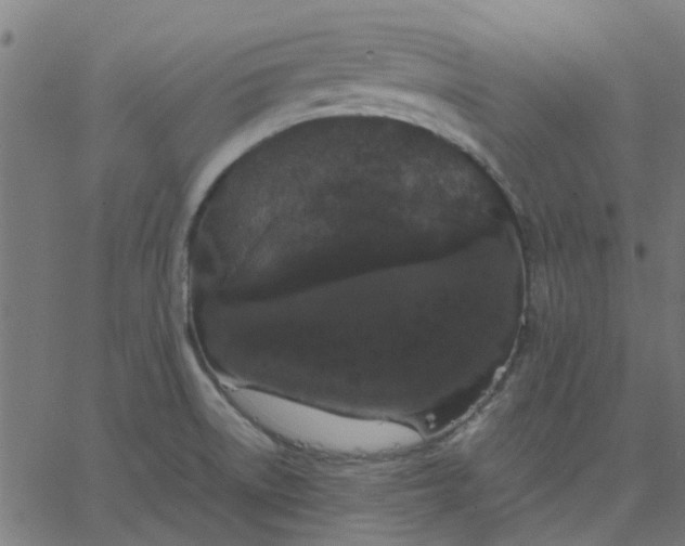 X0000067871522200604271723