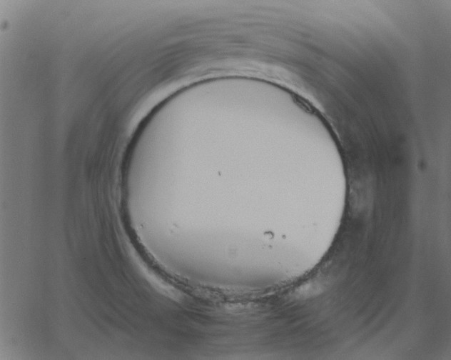 X0000067871523200604271723