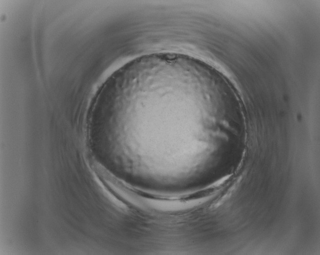 X0000067871525200604271723