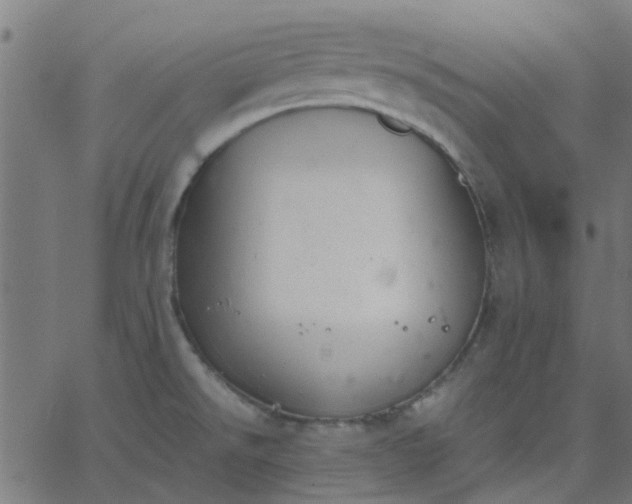 X0000067871526200604271723