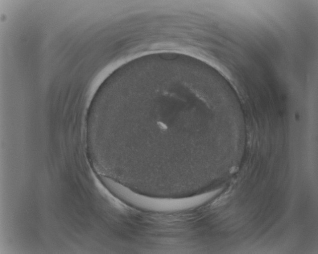 X0000067871527200604271723