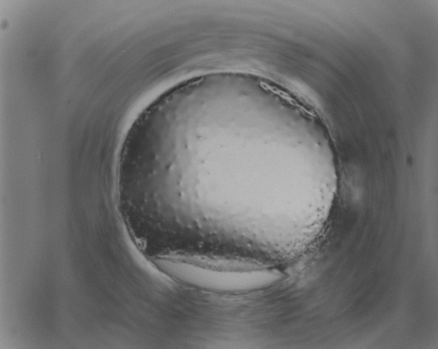 X0000067871528200604271723