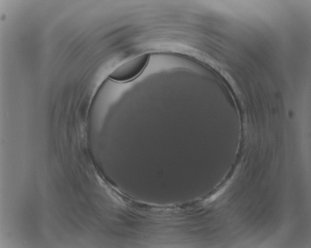 X0000067871529200604271723