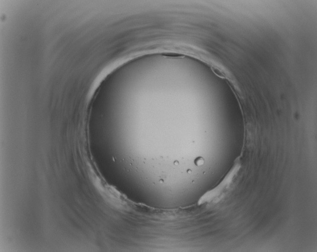 X0000067871530200604271723