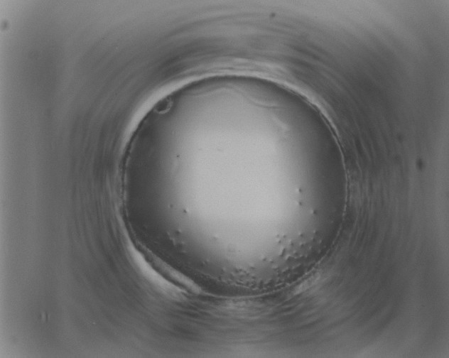 X0000067871531200604271723