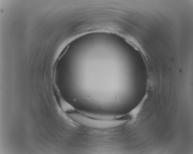 X0000067871532200604271723