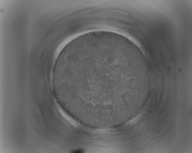 X0000067871535200604271723