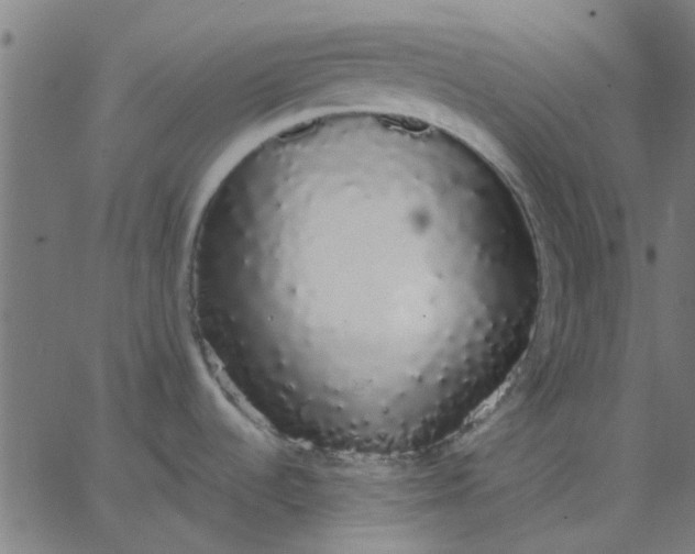 X0000067871536200604271723