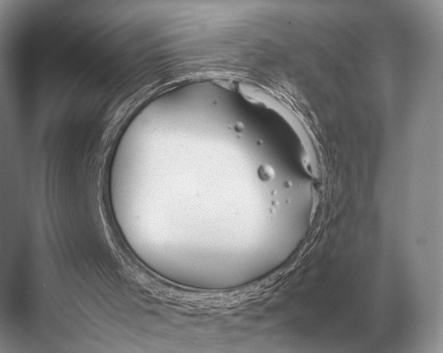 X0000067870001200605041819