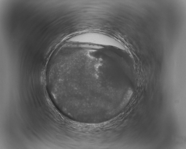 X0000067870002200605041819