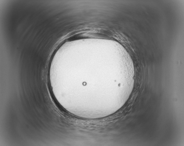 X0000067870003200605041819