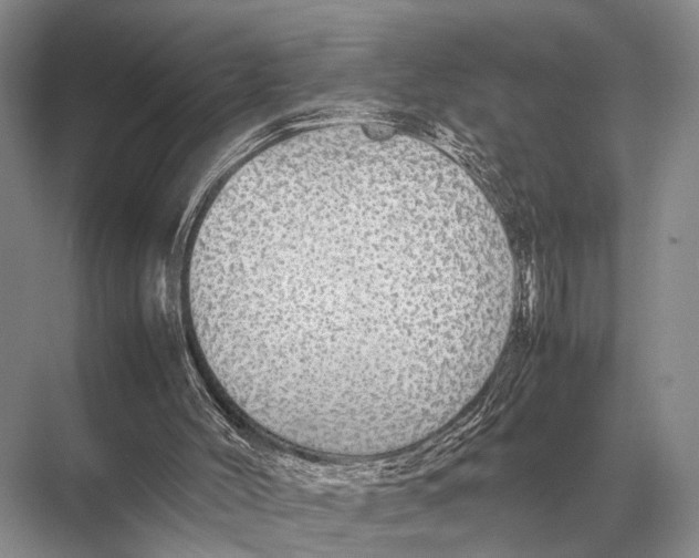 X0000067870004200605041819