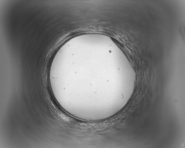 X0000067870005200605041819