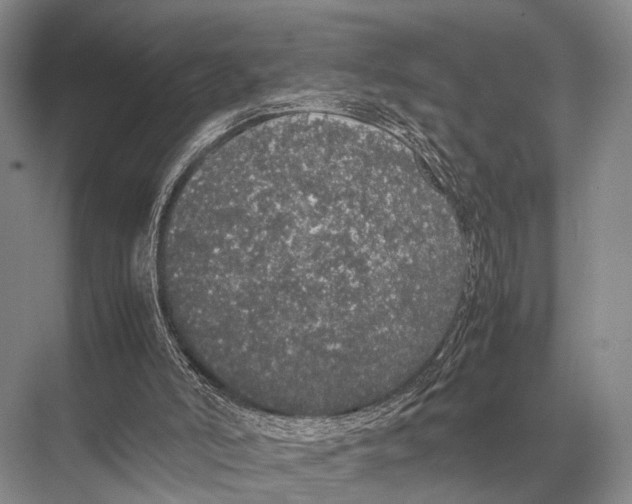 X0000067870006200605041819