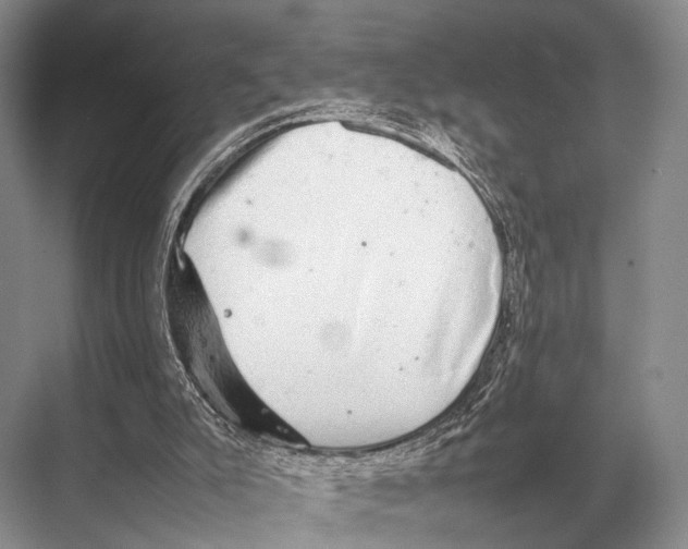 X0000067870007200605041819